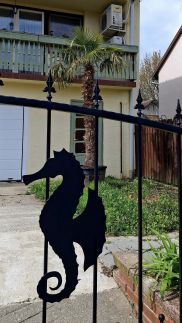Bermuda Apartman32