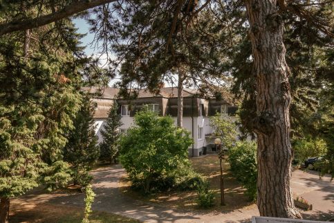 Balatonalmádi Akadémiai – Balatonalmádi fotó 39