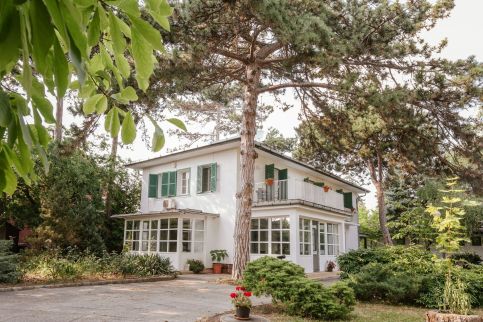 Balatonalmádi Akadémiai – Balatonalmádi fotó 7