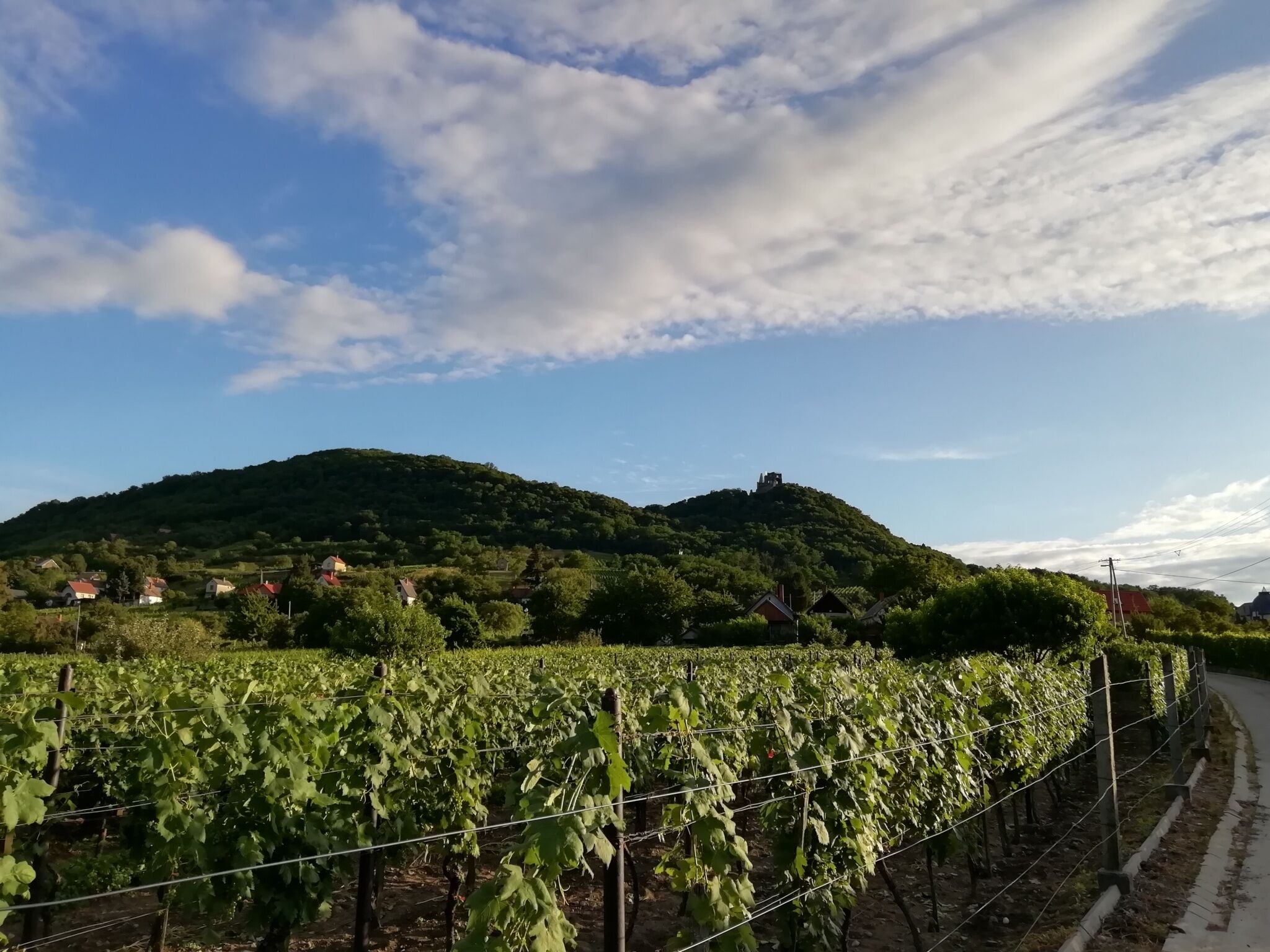 Irsai Szelence Vendégház – Doba