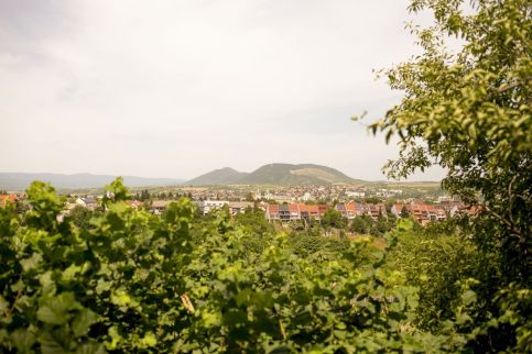 EgerCottages - Rosé32