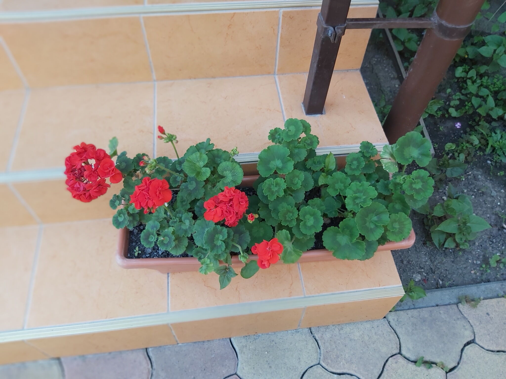 Székely Apartman – Gyula fotó 4
