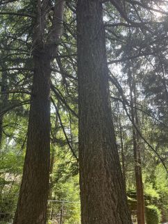 JuhászLak Vendégház18