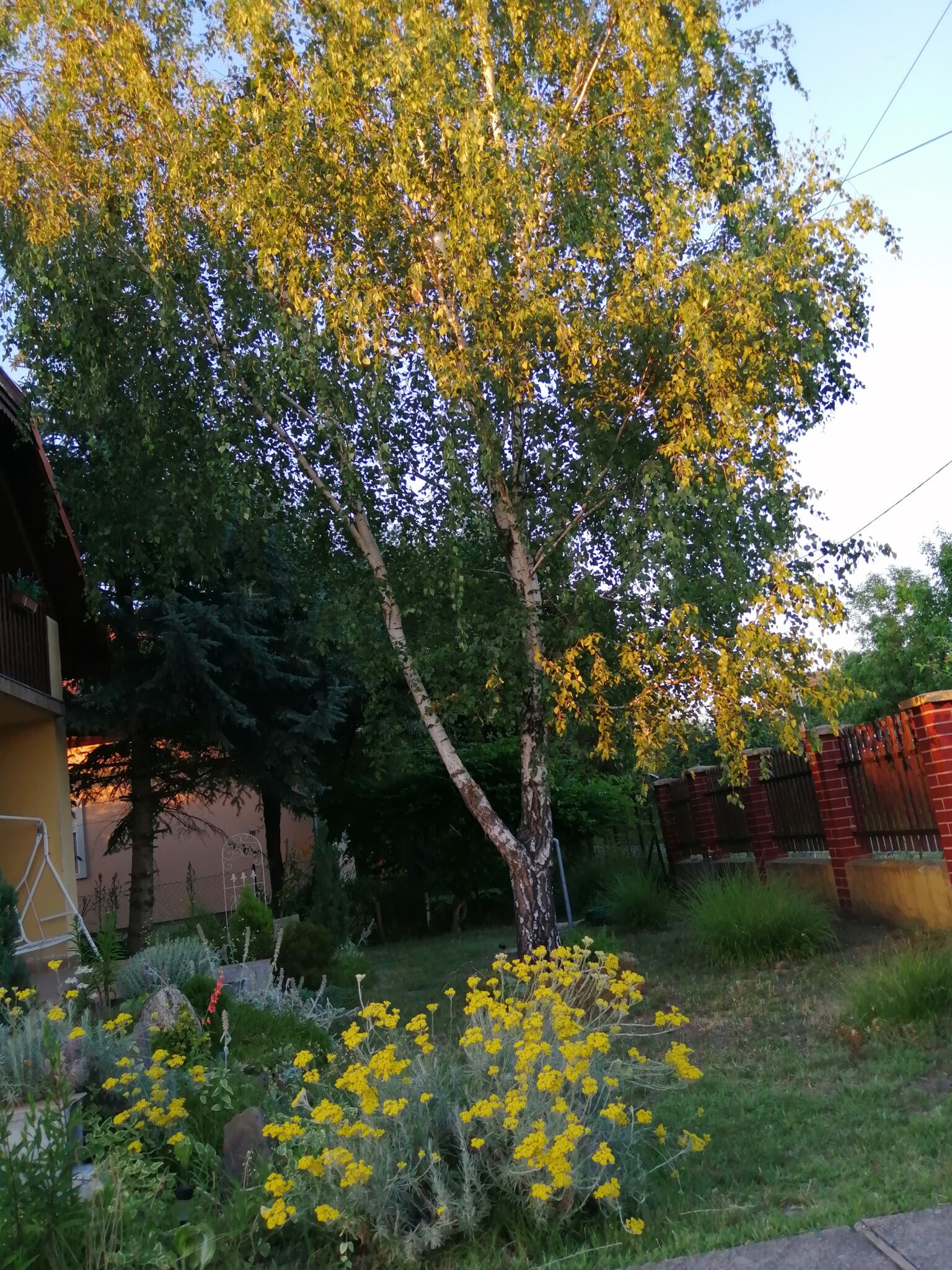 Akácvirág Vendégház Sarud – Sarud fotó 11