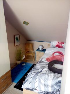 Lazulj Apartman10