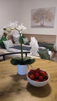 Fehérvár Cappuccino Apartman50