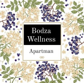 Bodza Wellness Apartman1