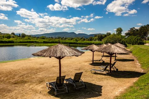 Hotel Golden Palace45