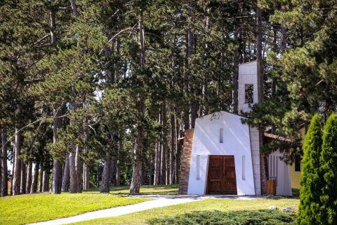 Hotel Golden Palace46