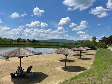 Hotel Golden Palace48