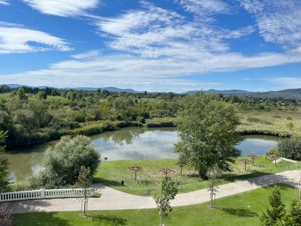 Hotel Golden Palace50