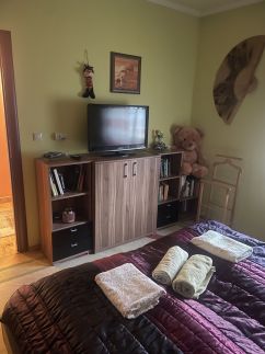 Zsuzsanna Apartman Tiszafüred11