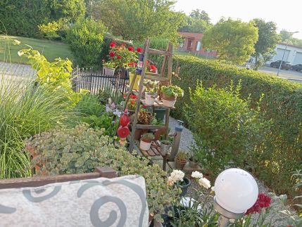 Herkules Apartman Zalakaros16