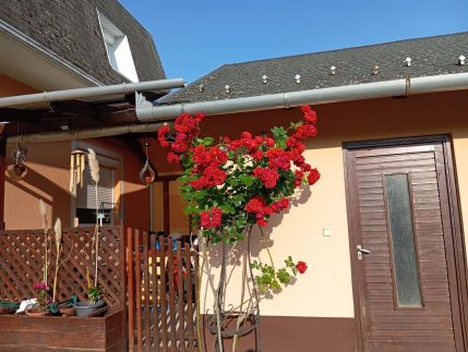 Herkules Apartman Zalakaros14