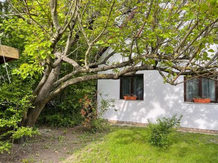 Stég - a Nyaraló17