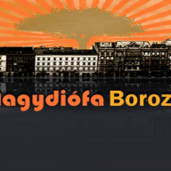 Nagydiófa Borozó