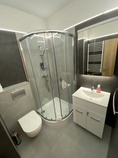 Dávid Wellness Apartman6