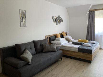 Dávid Wellness Apartman2