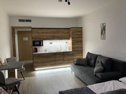 Dávid Wellness Apartman3