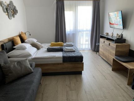 Dávid Wellness Apartman5