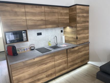 Dávid Wellness Apartman