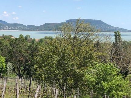 Balatongyörök Panoráma1