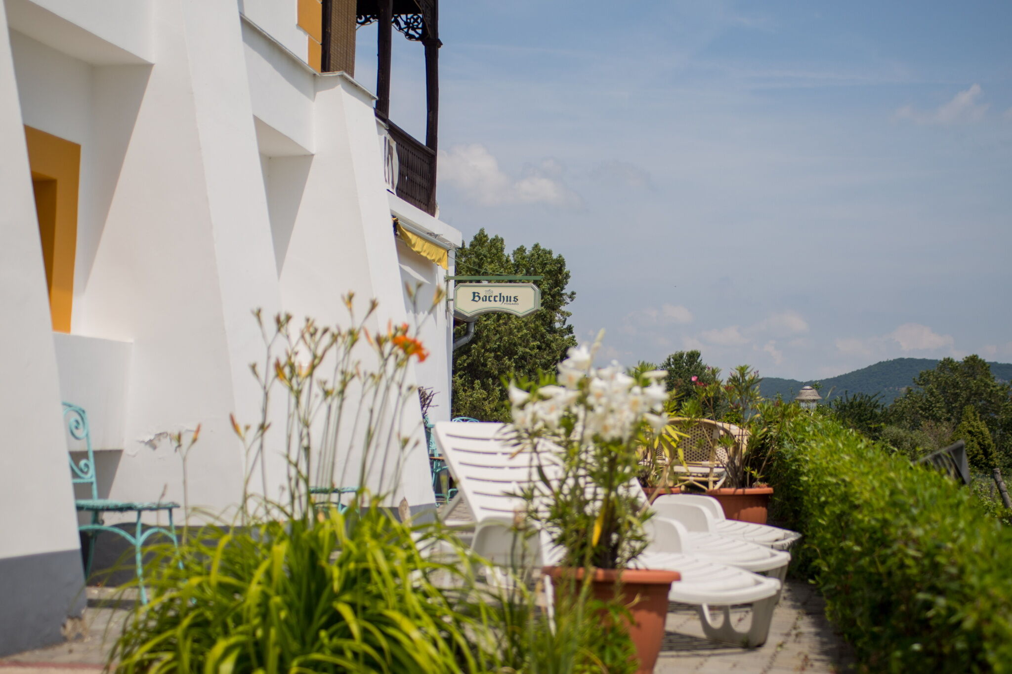 Balatoni Panoráma Apartman - Bacchus – Badacsony fotó 9