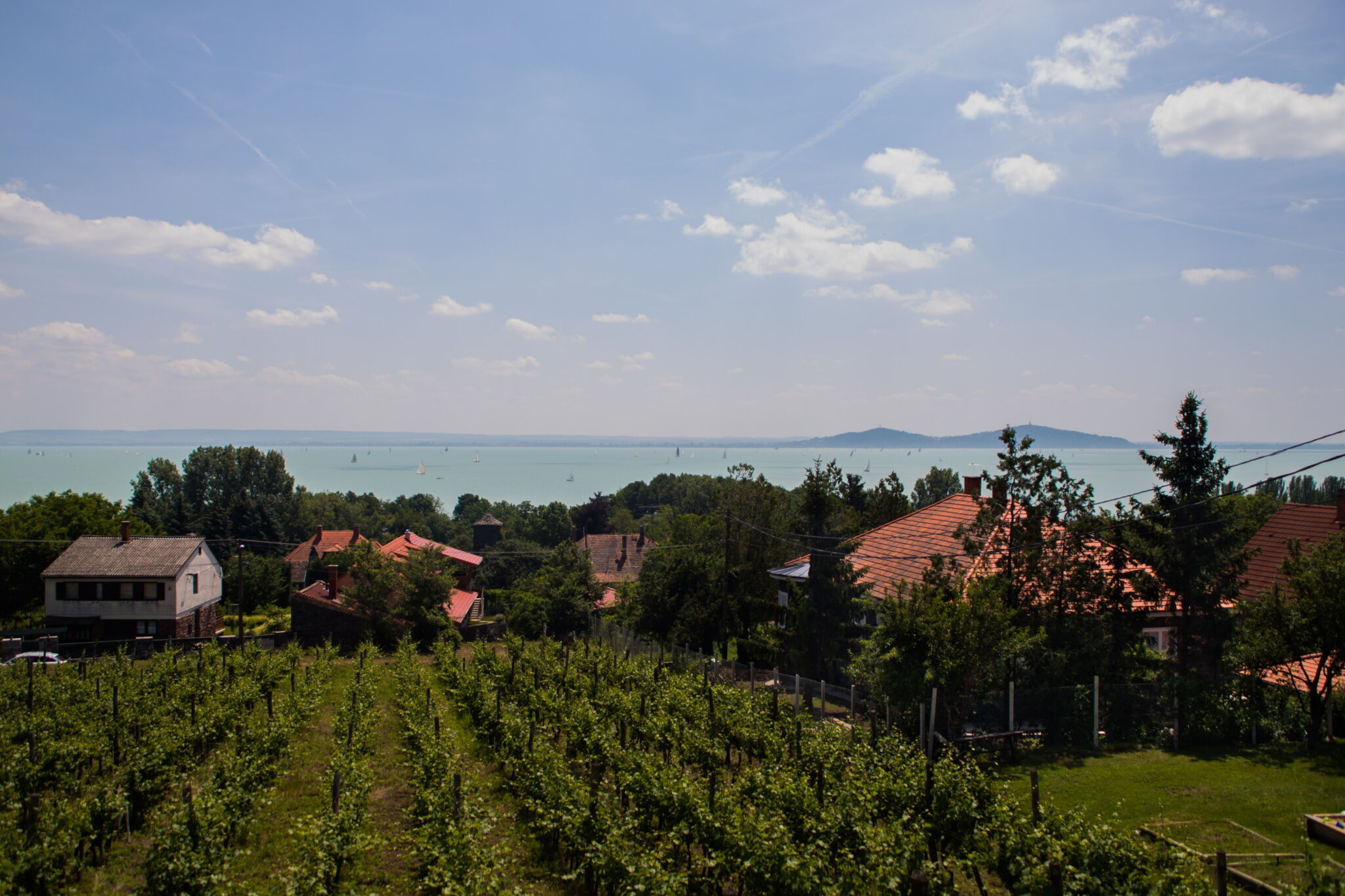 Balatoni Panoráma Apartman - Bacchus – Badacsony fotó 15