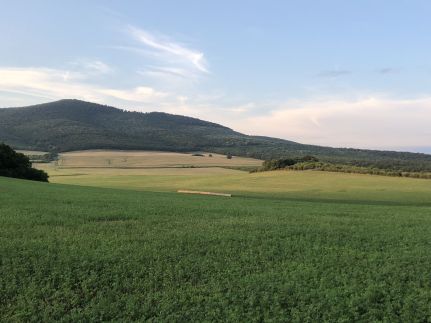 Bauer Teljes Vendégház Hosszúhetény -36
