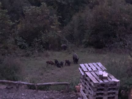 Bauer Teljes Vendégház Hosszúhetény -39