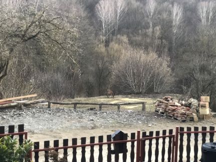 Bauer Teljes Vendégház Hosszúhetény -43