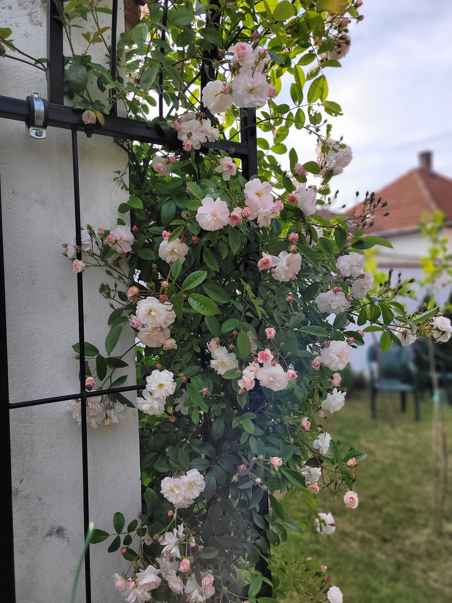 Kisbagoly Vendégház – Parád fotó 43