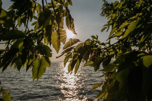 Balatonvilágosi Akadémiai – Balatonvilágos fotó 29