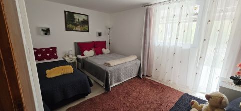 Szőlőfürt Faház40