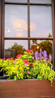 Zánkapu Szálláshely38