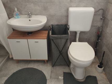 Ibolya Apartman Debrecen11