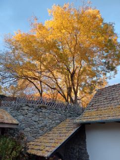 Templomdomb Vendégház29