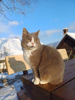 Templomdomb Vendégház35