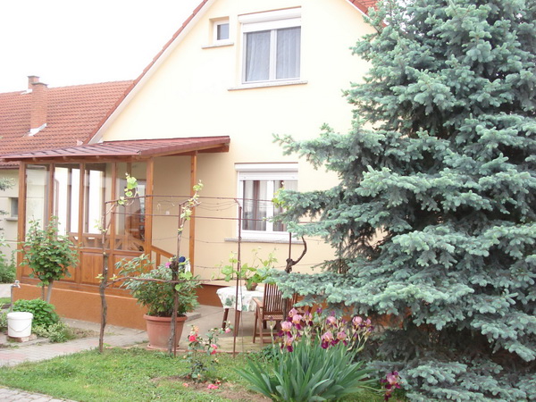 Solt Panzió Villány – Villány fotó 5