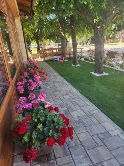 Vörös Álom Panzió37