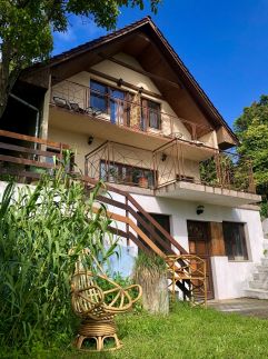 Repülőhal Apartmanház16