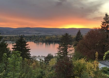 Repülőhal Apartmanház28