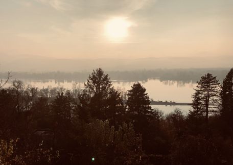 Repülőhal Apartmanház29