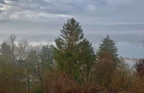 Repülőhal Apartmanház31