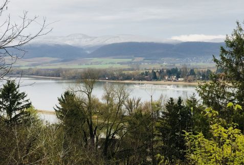 Repülőhal Apartmanház32