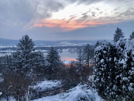 Repülőhal Apartmanház34