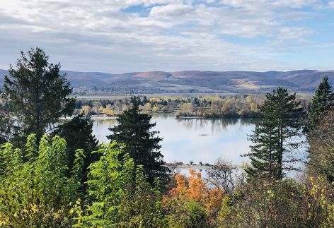 Repülőhal Apartmanház35