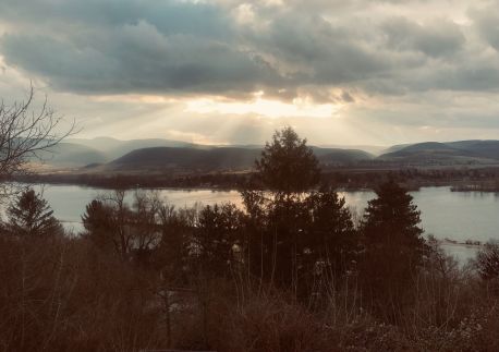 Repülőhal Apartmanház36