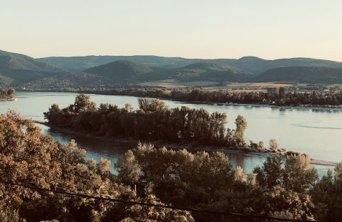 Repülőhal Apartmanház37