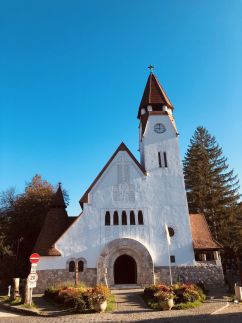 Repülőhal Apartmanház88